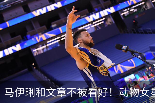 马伊琍和文章不被看好！动物女星的单身声明！
